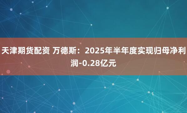 天津期货配资 万德斯：2025年半年度实现归母净利润-0.28亿元
